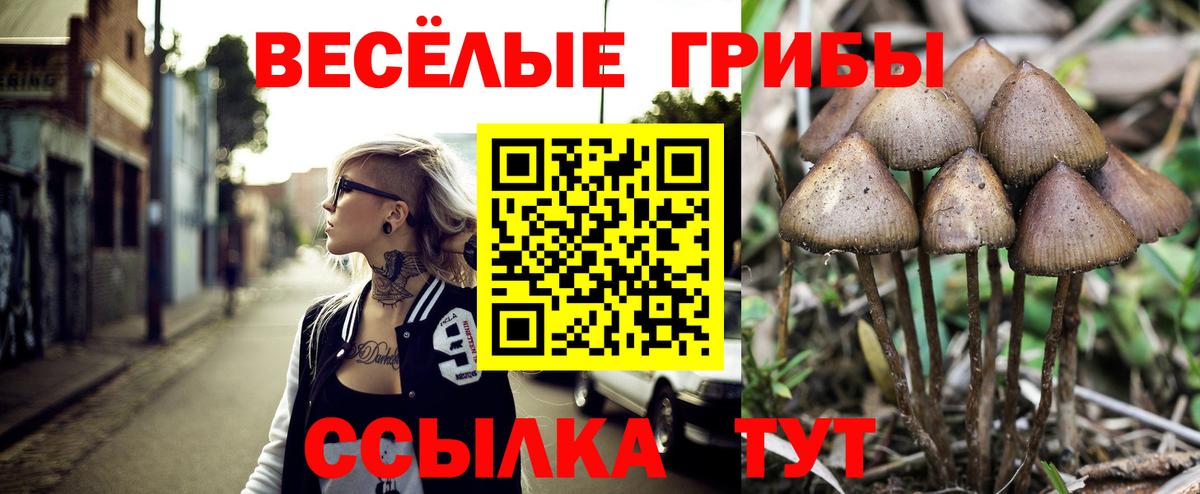 Галлюциногенные грибы Magic Shrooms Первоуральск